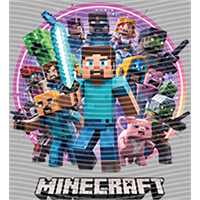 Minecraft-MN 101